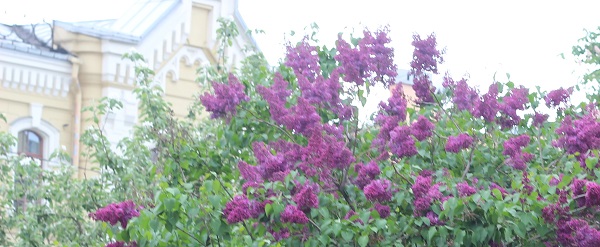 По Садовой с документами