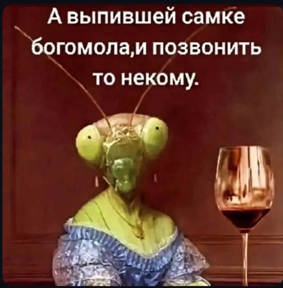 Дорогой дневник. 23 октября 2025