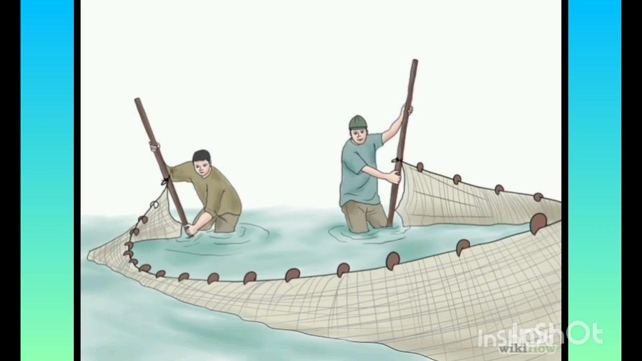 Надо провести хорошенько бреденьком