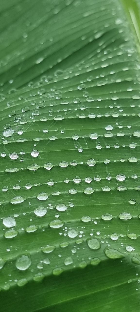 Любовь. 23. 10. 25г