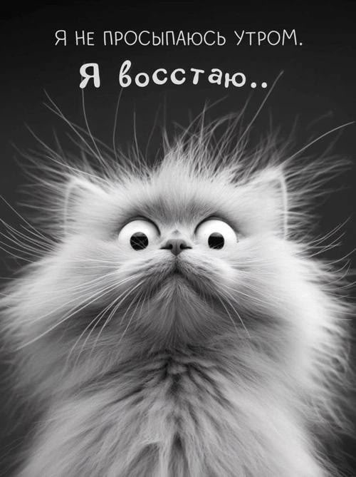 За мимику, - достойного народа!