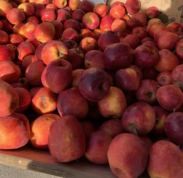 История юного охотника Мишутки -8