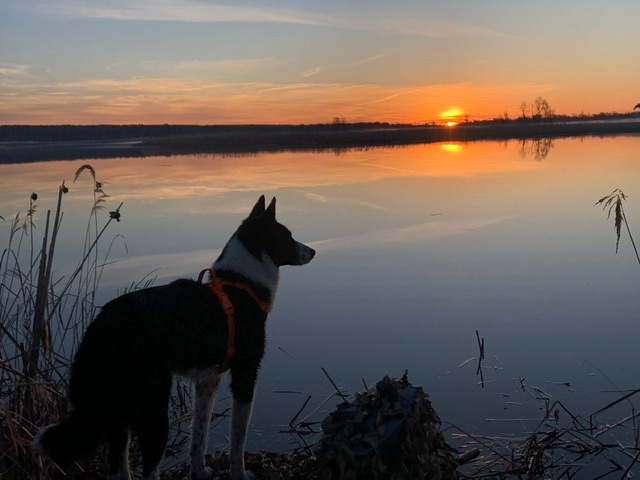 История юного охотника Мишутки 9 Первая рыбалка