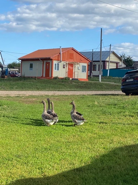 История юного охотника Мишутки -10 гусиная служба
