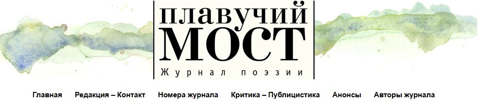 К вопросу о профессионализме в поэзии. Статья