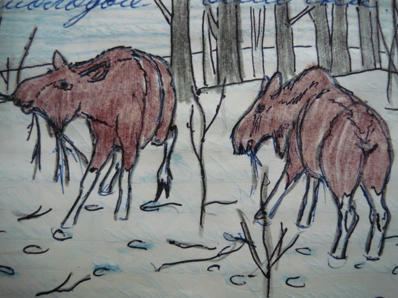 Из моих юношеских дневников! глава 26