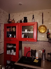 Жизнь таракана Яши в женской голове. 11
