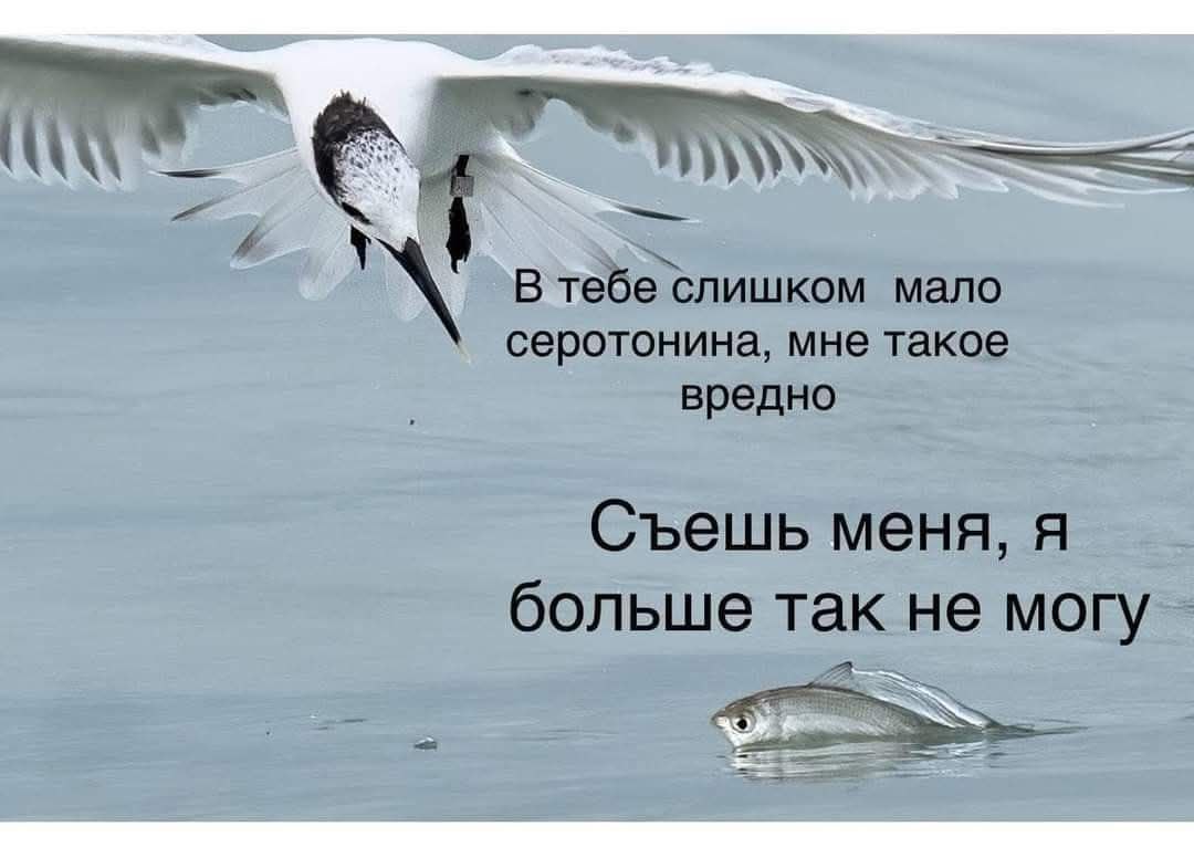 Плавание на ДНК. 25 октября 2025