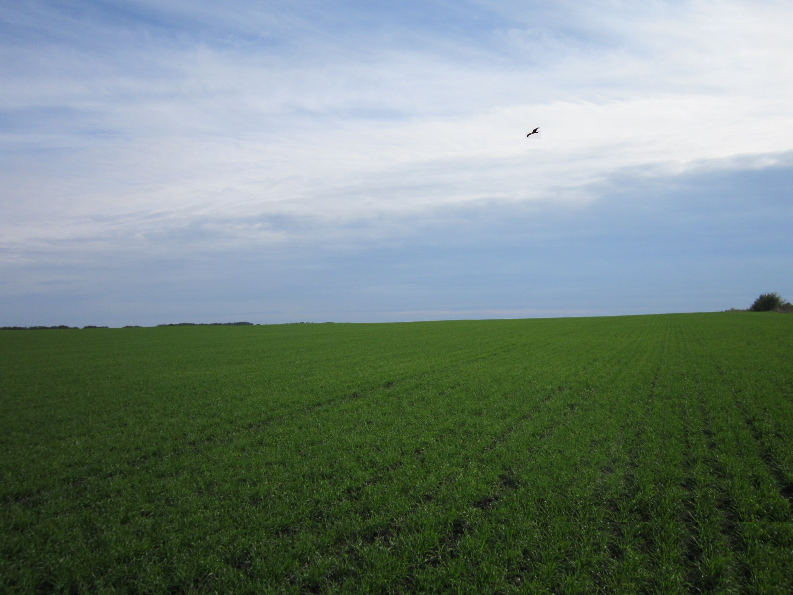 Гуляет октябрь дождями на Дону