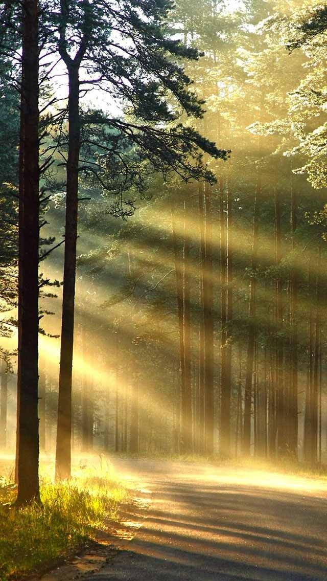 Мой новый день. Стихи