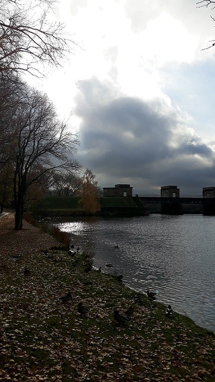 Осенняя зарисовка...