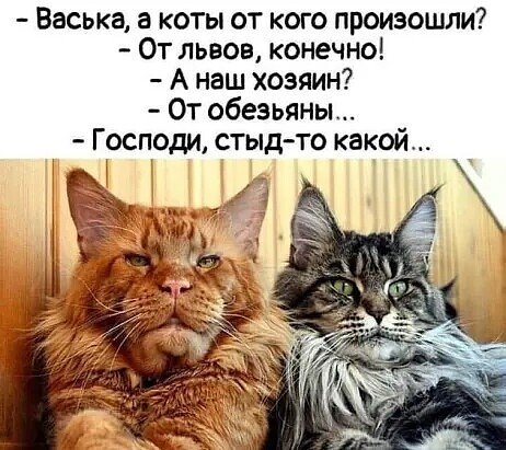 С утра немного, светлее!