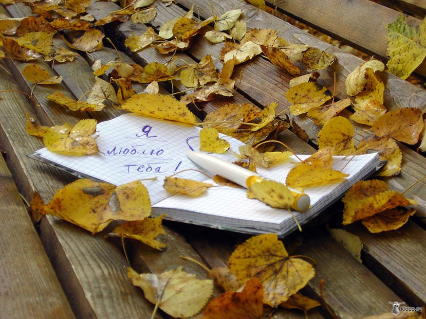 24 октября - день жёлтых листьев!