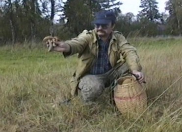 Три осенних дня в деревне детства