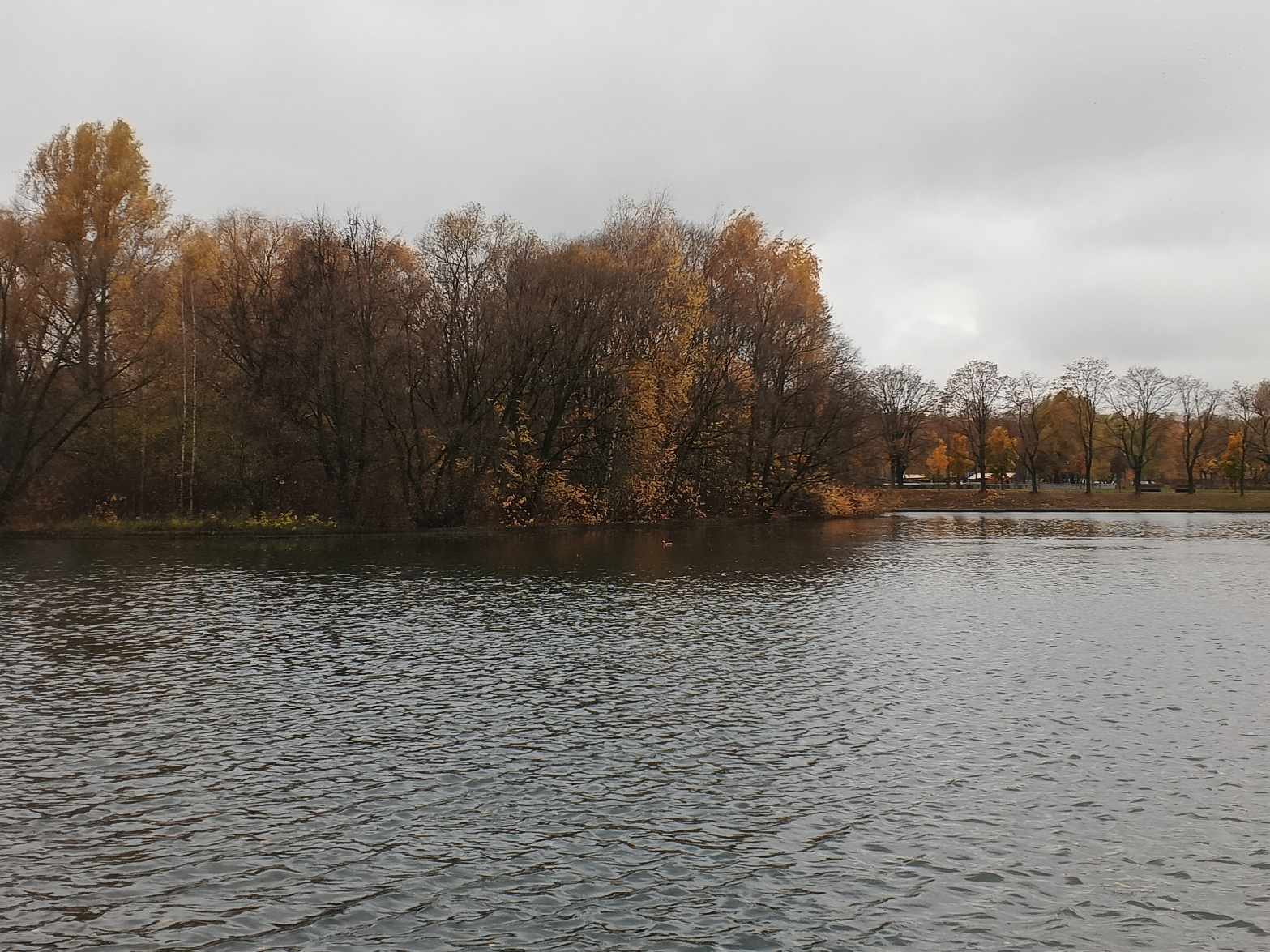 Ветер листья собирал...