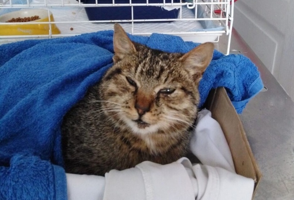 И если Вас ударили по морде...