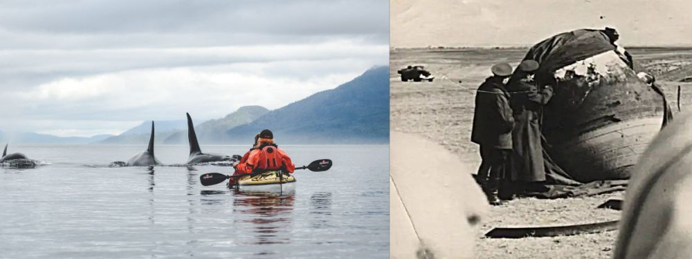 И серебристо-белый хрупкий неметалл...