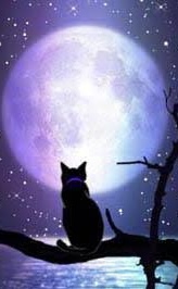 Подслушанное невольно