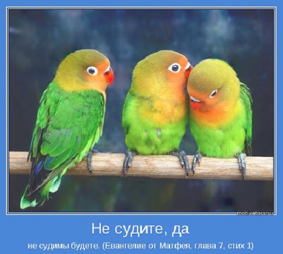 Не судите...