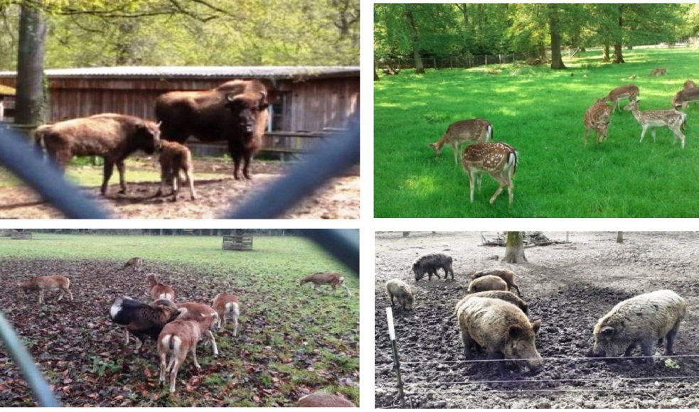 Жизнь продолжается