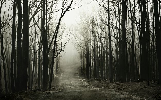 А к нам же пришла осень