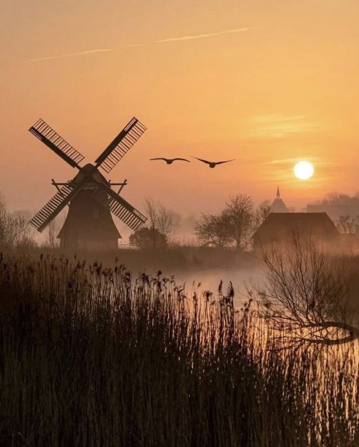 Жизнь ради нескольких мгновений?