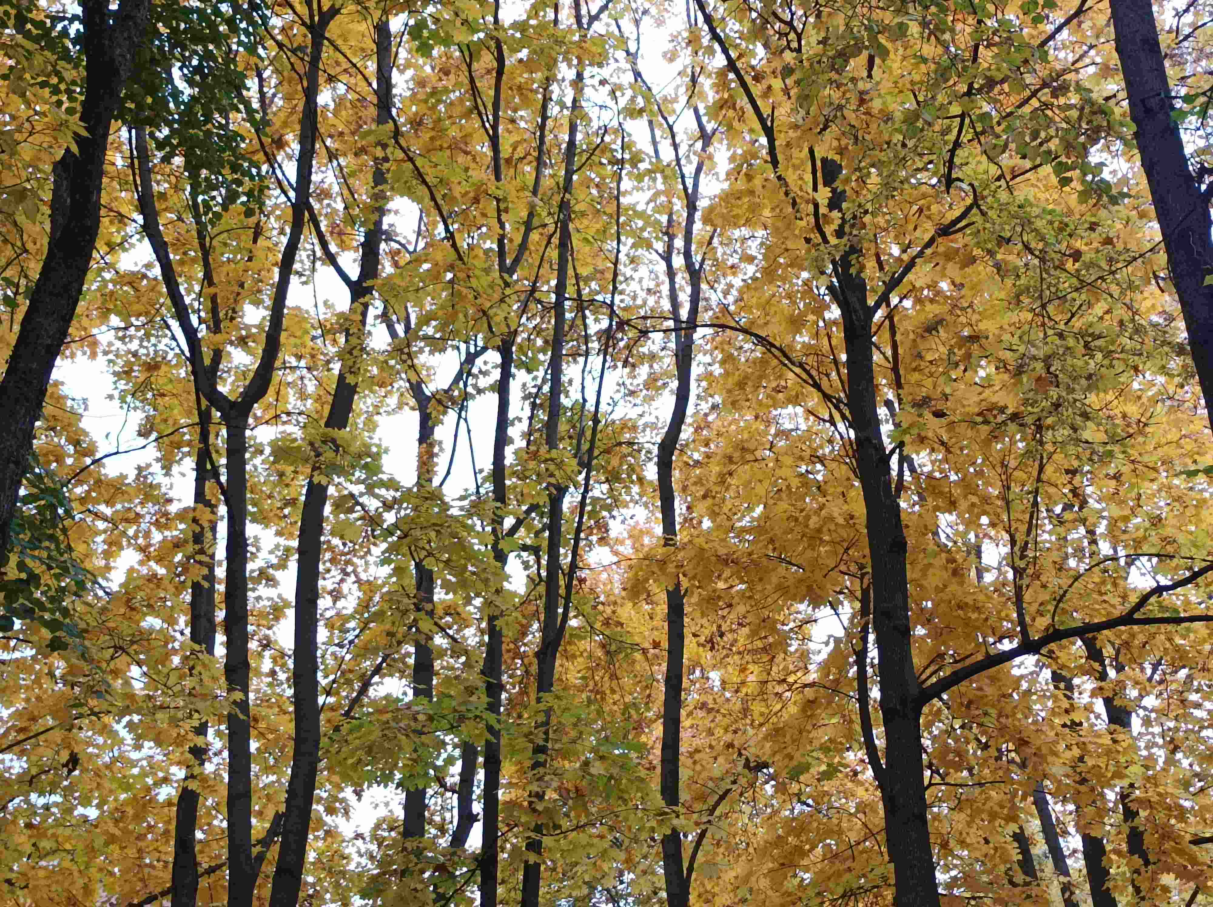 За Переходом. Глава 3. У Перехода