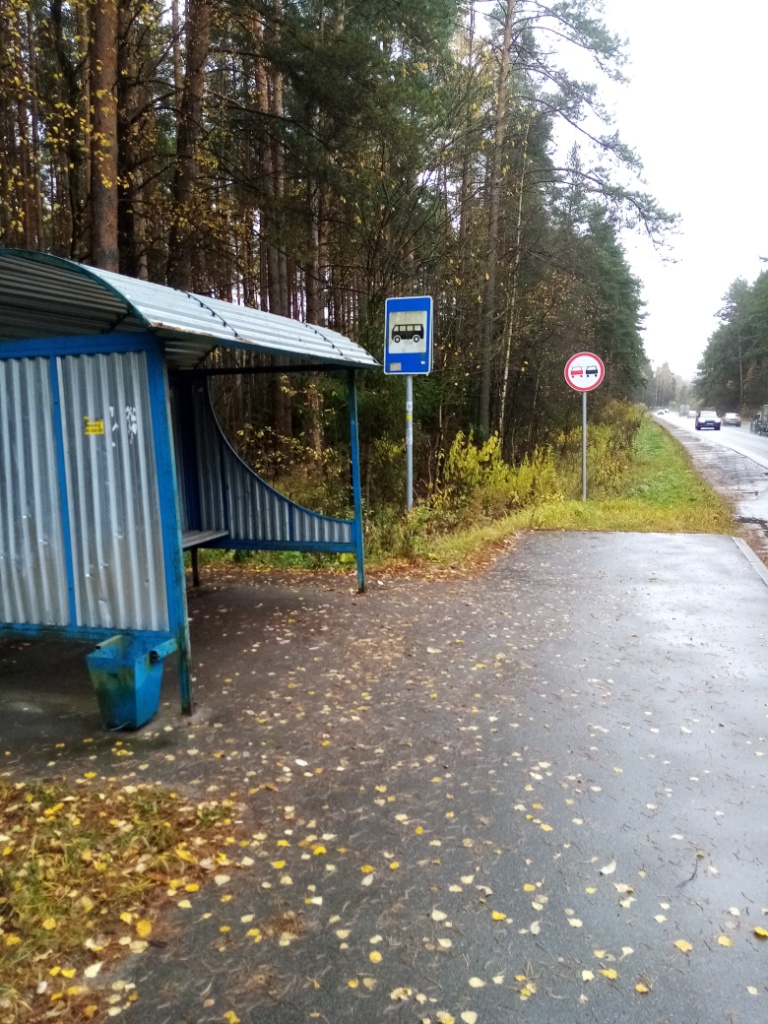 Осенняя зарисовка