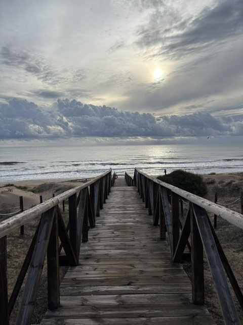 Весело о путешествиях..!