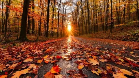 Постучала осень