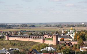 Битва под Суздалем, произошедшая 7 июля 1445 года