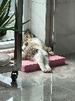 Ну его на фиг такие сны!