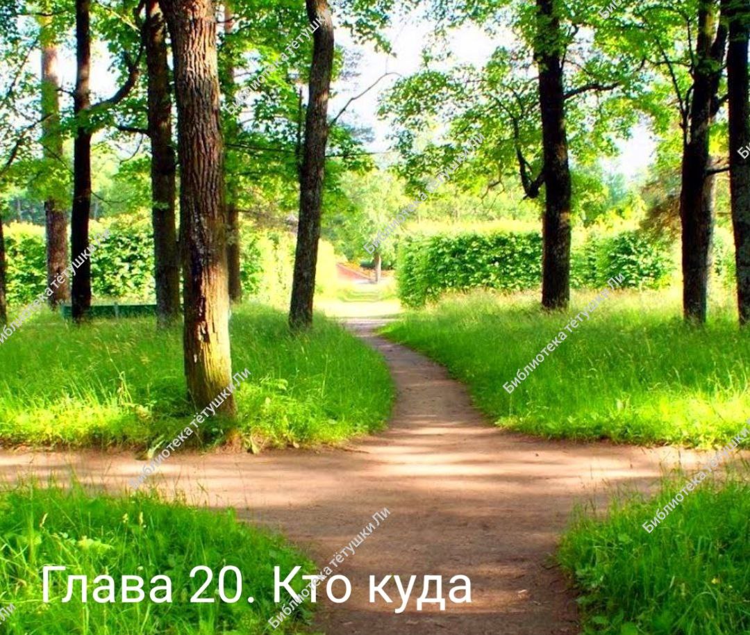 Глава 20. Кто куда