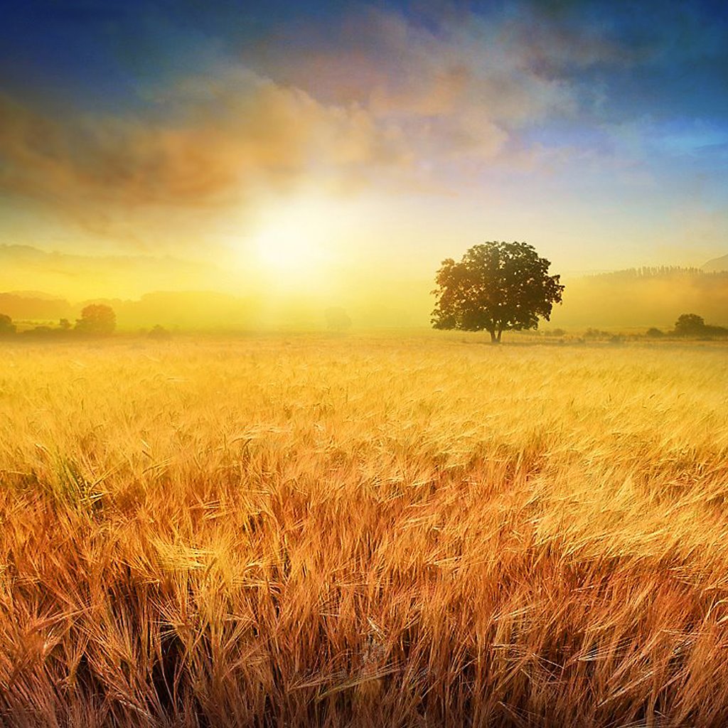 Зной! Летний зной! Нещадно солнце!