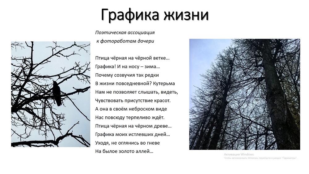 Графика жизни