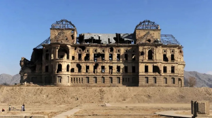Черный тюльпан для братьев по оружию