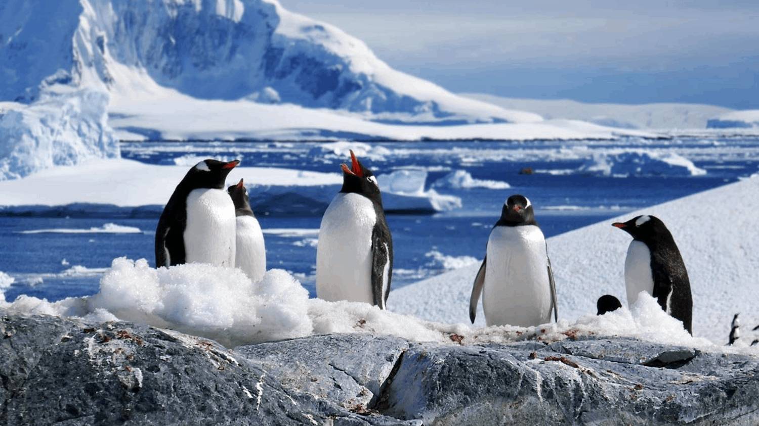 Солнце справедливости. Лёд и Берлинская жара
