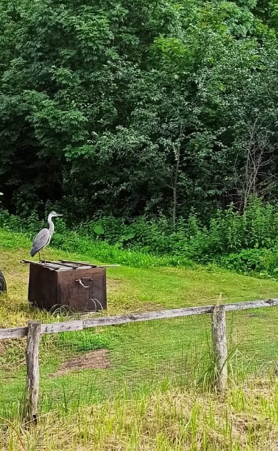 Всё равно...
