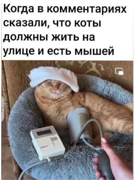 Пидорино Горе. 27-28 октября 2025