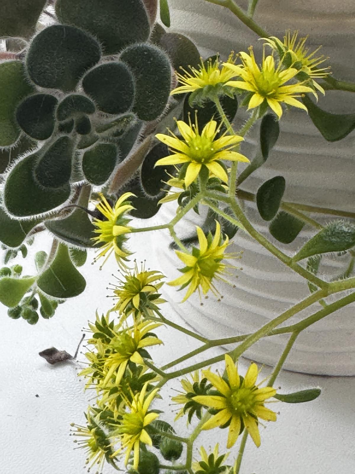 Жить непросто