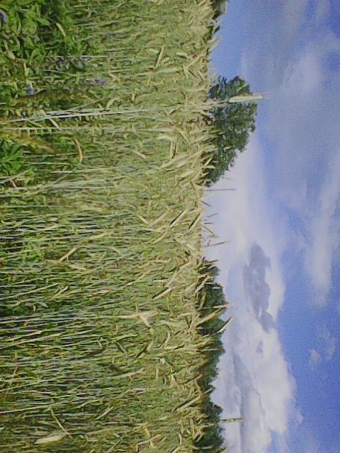 Есть люди, которые помнят...