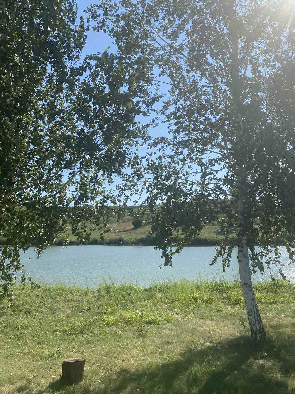 Где рождается сила