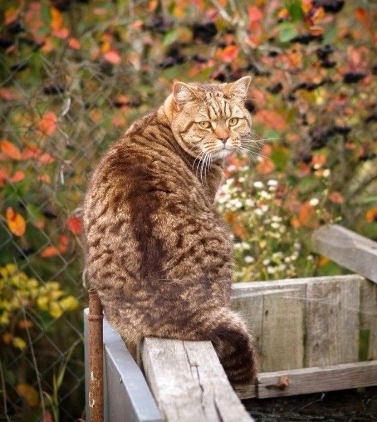 Вот осень пришла, и закончилось лето...