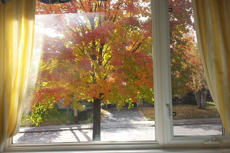 Один день Надежды Павловны