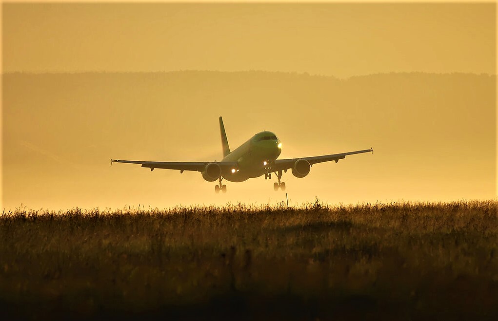 Дедушка, бабушка и внуки