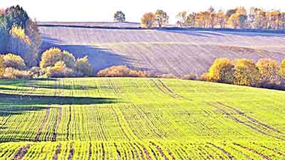 Труженики полей