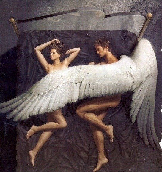 Мне без тебя не улететь в рассвет