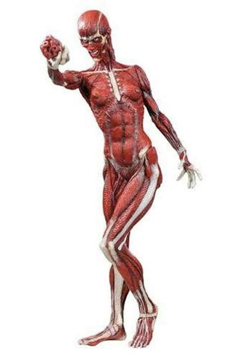 Вы хоть раз об этом задумывались?