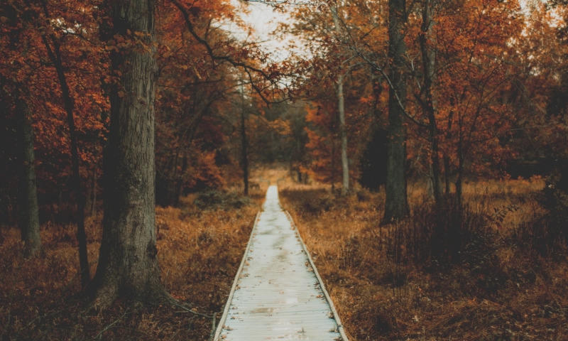 Незримые штрихи