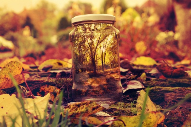 Отдельный мир